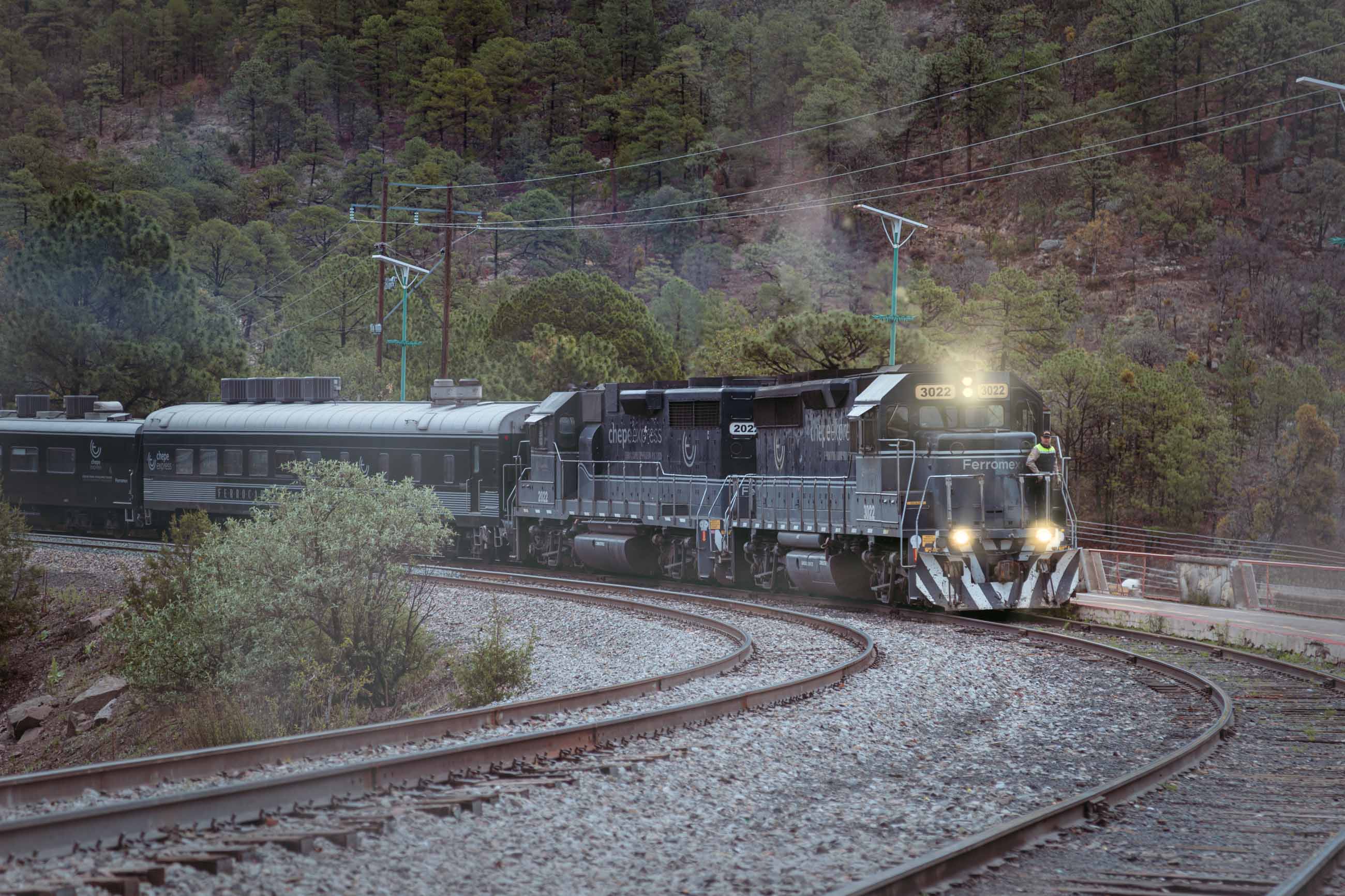El tren Chepe Express saliendo de una curva entre pinos, con niebla y los faros encendidos.